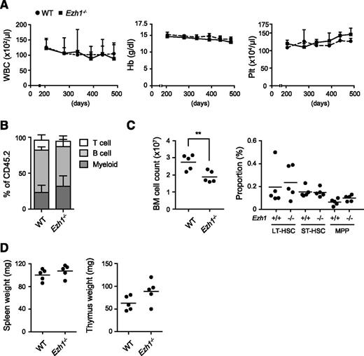 Figure 5. Ezh1 loss did not cause any hematologic malignancies. (A) PB cell counts in Ezh1−/− mice up to 16.5 months after birth. WBC, Hb, and Plt counts in the PB from WT (n = 5) and Ezh1−/− (n = 5) mice are shown as the mean ± standard deviation (SD). (B) The proportions of myeloid (Mac-1+), B220+ B, and CD4+ or CD8+ T cells among CD45+ donor-derived hematopoietic cells in the PB at the time points indicated. Data are shown as the mean ± SD (n = 5). (C) Absolute numbers of total BM cells (left panel) and long-term (LT), short-term (ST), and multipotent progenitors (MPPs) in a unilateral pair of the femur and tibia from Ezh1−/− mice 16.5 months after birth. Data are plotted as dots and the mean values are indicated as bars (WT, n = 5; Ezh1−/−, n = 5). (D) Weights of the spleen and thymus from Ezh1−/− mice 16.5 months after birth. Data are plotted as dots and the mean values are indicated as bars (WT, n = 5; Ezh1−/−, n = 5). Statistical significance of difference was measured by unpaired 2-tailed Student t test. **P < .005.