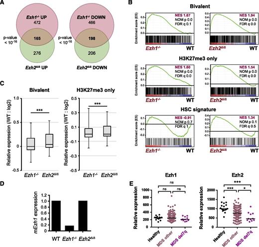 Figure 7. Gene expression profiles of Ezh1-deficient HSPCs. (A) Venn diagram showing the overlap between genes upregulated (at least twofold) and downregulated (at least twofold) in Ezh1−/− and Ezh2Δ/Δ LSK cells compared with WT LSK cells. RNA-sequence analysis was performed using LSK cells from WT, Ezh1−/−, and Ezh2Δ/Δ mice at 1 month postinjection of tamoxifen. (B) GSEA plots demonstrating enrichment levels of indicated gene sets in Ezh1−/− and Ezh2Δ/Δ LSK cells compared with WT LSK cells. NES, NOM P value, and FDR are indicated. (C) Box-and-whisker plots showing the expression levels of H3K27me3-only genes and bivalent genes in Ezh1−/− and Ezh2Δ/Δ LSK cells relative to WT LSK cells. Boxes represent 25 to 75 percentile ranges. Vertical lines represent 10 to 90 percentile ranges. Horizontal bars represent median. ***P < .001 (Student t test.). (D) Graphic presentation of RNA-sequence data. RPKM of Ezh1 in Ezh1−/− and Ezh2Δ/Δ LSK cells were shown relative to that of WT LSK cells. (E) Expression of EZH1 and EZH2 in CD34+ MDS cells. Relative expression of EZH1 and EZH2 in CD34+ cells from healthy controls, MDS patients, and MDS patients with 7q deletion. The data are presented as scatter diagrams with median values (bars). ***P < .001 (Student t test). The data from MDS patients were retrieved from published database.38