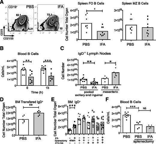 Figure 3. Accumulating B cells are derived from the recirculating lymphocyte pool. (A) Splenic follicular (CD19+CD23+CD21+) and marginal zone (CD19+CD23loCD21hi) B-cell populations were quantified following IFA treatment. Data are pooled from 2 experiments. (B) Blood B cells were enumerated by flow cytometry. Data are pooled from 2 independent experiments. (C) Single axillary and inguinal lymph nodes were pooled and analyzed together with mesenteric lymph nodes by flow cytometry. Data are pooled from 2 independent experiments. (D) Splenic IgD+ cells were sorted by FACS and labeled with Cell Tracker Orange before IV injection. Data are from 2 experiments. (E) Two weeks after splenectomy mice were challenged with IFA for bone marrow analysis. In additional experiments intact or splenectomized mice were treated with FTY-720 immediately prior to IFA. Data are from 2 or 3 experiments. (F) B-cell blood counts are compared between the data from (B) and splenectomized mice. Data are pooled from 2 experiments.