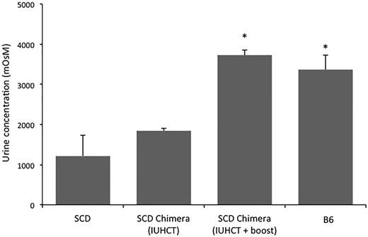 Figure 6. Urine concentrating ability in chimeric SCD mice following IUHCT ± postnatal BMT. Urine osmolality was determined after 24 hours of water deprivation in naïve SCD mice (n = 5), naïve B6 mice (n = 4), chimeric SCD mice following IUHCT (n = 4), and chimeric SCD mice who underwent a postnatal boost following IUHCT (n = 4). *P < .05 vs naïve SCD mice.