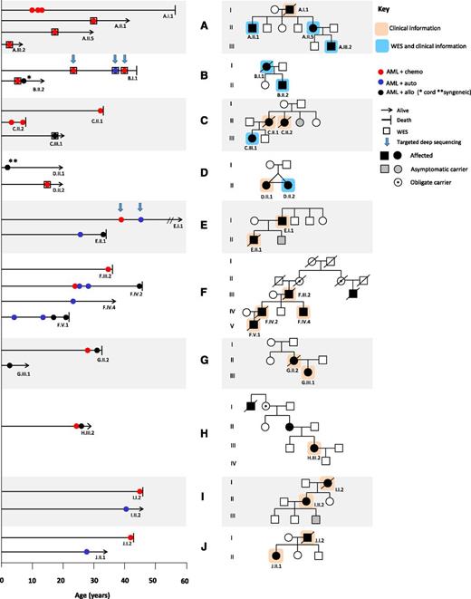 Figure 1. Clinical timeline and pedigrees of the familial AML study cohort. Illustrated is a timeline of disease events and family trees for pedigrees A to J. Clinical follow-up data were collected for 24 patients from 10 pedigrees (highlighted orange): families A,10 B,14 C (unpublished), D,17 E,15 F,12 G,2,16 H,2 I,13 and J.13 Tumor DNA samples were genetically profiled in 7 patients (highlighted blue), including 7 primary tumors and 2 recurrent disease episodes (as shown on the timeline). The clinical timeline identifies disease events in each individual, with the main modality of treatment received: conventional chemotherapy (red), autologous transplant (blue), and allogeneic transplant (black). More than 50% of patients experienced recurrent disease, often with prolonged intervening periods of remission (>5 years), as seen in B.I.1, E.I.1, E.II.1, F.IV.2, and F.V.1. In addition to the confirmed asymptomatic carriers (C.II.3, E.II.2 and I.III.3), 3 individuals appear as obligate carriers (H.I.2, F.II.2 and F.II.3), although these were not tested in the study.