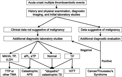 Figure 1. Diagnostic approach to the patient with a catastrophic thrombotic presentation. The presenting history and physical examination, initial imaging studies, and laboratory studies are used to determine the most likely etiology of the patient’s thrombotic diathesis. Initial laboratory studies should include a complete blood count and blood film, a comprehensive metabolic panel (including blood urea nitrogen, creatinine, and liver function studies), an LDH, a prothrombin time, partial thromboplastin time, fibrinogen, and D-dimer, and testing for aPLs. Additional diagnostic laboratory studies that might be obtained in selected subsets of these patients would include testing for anti-PF4/heparin antibodies (to evaluate for HIT), an ADAMTS13 level (to evaluate for an atypical presentation of TTP), additional testing for aPLs (to evaluate for catastrophic APS), and selected additional tests that may direct or alter therapy (eg, antithrombin level). There can be considerable overlap between these disorders, particularly at initial presentation. aPL, antiphospholipid antibody; APS, antiphospholipid syndrome; HITT, heparin-induced thrombocytopenia with thrombosis; LDH, lactate dehydrogenase; MAHA, microangiopathic hemolytic anemia; TMA, thrombotic microangiopathy; TP, thrombocytopenia; TTP, thrombotic thrombocytopenic purpura.