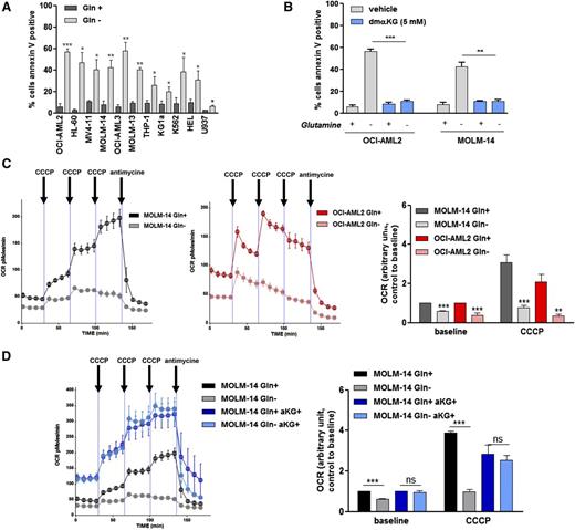 Figure 1. Glutamine controls mitochondrial OXPHOS in AML. (A) A total of 11 AML cell lines were cultured with or without Gln (4 mM) for 48 hours. Apoptosis was quantified by flow cytometric analysis of Annexin V binding. (B) OCI-AML2 and MOLM-14 cell lines were cultured for 48 hours with or without Gln (4 mM) and αKG (5 mM) as indicated, and apoptosis was quantified based on Annexin V binding. (C) OCI-AML2 and MOLM-14 cell lines were cultured for 48 hours with or without Gln (4 mM), and the OCR was measured using a Seahorse XF96 extracellular flux analyzer, under both basal conditions and after the addition of increasing doses of CCCP (0.25, 0.5, and 0.5 µM) and antimycine (10 µM), as indicated. Histograms show data that are representative of 3 independent experiments at baseline or after CCCP (cumulative dose, 1 µM). (D) MOLM-14 cell lines were cultured for 48 hours with or without Gln (4 mM) and αKG (5 mM) as indicated, and the OCR was measured as in C. Histograms show data that are representative of 3 independent experiments. *P < .05, **P < .01, ***P < .001.
