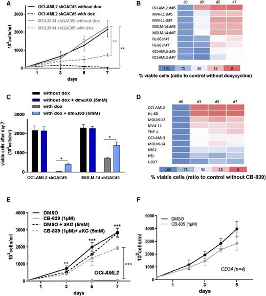 Figure 3. Targeting glutaminase activity inhibits AML cell proliferation. (A) OCI-AML2 and MOLM-14 shGLS1#5 leukemic cells were seeded at 5 × 105 cells/mL with or without doxycycline; viable cells were counted manually following trypan blue staining on days 3, 5, and 7. Each experiment was performed independently ≥3 times. (B) OCI-AML2, MV4-11, MOLM-14, HL-60, and OCI-AML3 cells transfected with shGLS1#5 or #7 were seeded at 5 × 105 cells/mL with or without doxycycline; viable cells were counted following trypan blue staining on days 3, 5, and 7. Each experiment was performed independently ≥3 times. (C) OCI-AML2 and MOLM-14 shGLS1#5 leukemic cells were seeded at 5 × 105 cells/mL with or without doxycycline, and αKG (5 mM) and viable cells were counted following trypan blue staining on day 7. (D) A total of 10 cell lines were seeded at 5 × 105 cells/mL with or without CB-839 (1 µM); viable cells were counted following trypan blue staining on days 3, 5, and 7. (E) OCI-AML2 cells were seeded at 5 × 105 cells/mL with or without CB-839 (1 µM) and αKG (5 mM); viable cells were counted following trypan blue staining on days 3, 5, and 7. (F) CD34+ HPCs from 4 healthy donors were seeded at 5 × 105 cells/mL with and without CB-839 (1 µM); viable cells were counted following trypan blue staining on days 2, 3, 4, and 5. *P < .05, **P < .01, ***P < .001.