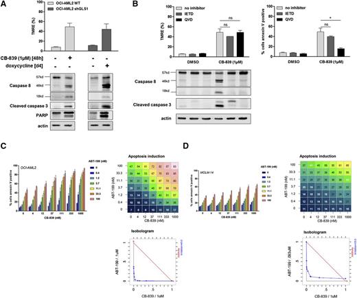 Figure 5. GLS1 inhibition induces mitochondrial apoptosis and sensitizes leukemic cells to priming with ABT-199. (A) OCI-AML2 WT cells or cells transfected with shGLS1#5 were cultured with or without CB-839 (1 µM) or doxycycline as indicated. Apoptosis was evaluated by western blotting using anti-CASPASE-8, cleaved CASPASE-3, anti-PARP, and anti-ACTIN antibodies. (B) OCI-AML2 cells were cultured with or without CB-839 (1 µM) and with or without a CASPASE-8 inhibitor (IETD) or a pan-caspase inhibitor (QVD). Protein extracts were immunoblotted using anti-CASPASE-8, anti-cleaved CASPASE-3, and anti-ACTIN antibodies. Mitochondrial depolarization was evaluated using TMRE staining and apoptosis was quantified based on Annexin V staining. (C) OCI-AML2 cells were cultured for 1 day with or without the indicated doses of CB-839 and ABT-199; apoptosis was evaluated based on Annexin V staining. (D) MOLM-14 cells were cultured for 1 day with or without the indicated doses of CB-839 and ABT-199; apoptosis was evaluated based on Annexin-V staining. Histograms show data that are representative of 3 independent experiments. The response of the combination was compared with its single agents against the widely used Loewe model for drug-with-itself dose additivity using Chalice software26 and presented as an isobologram. *P < .05, **P < .01, ***P < .001.