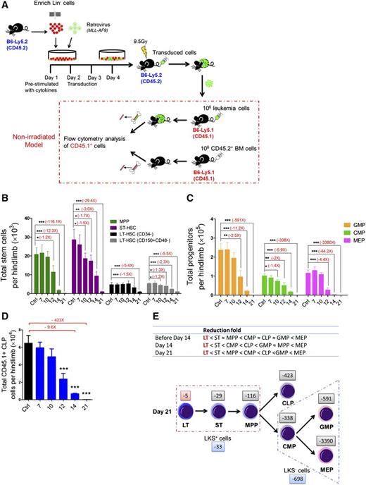 Figure 1. Kinetics of hematopoiesis in leukemic BM. (A) Retroviral transduction procedure and induction of leukemia in nonirradiated recipient mice. (B) Absolute numbers of LT-HSCs, ST-HSCs, and multipotent progenitors in leukemic BM. (C-D) Absolute numbers of GMPs, CMPs, MEPs (D), and CLPs (E) in leukemic BM. Data are represented as the mean ± standard error of the mean (SEM) (n = 12; 3 independent experiments). (E) Reduced speed (upper panel) and a model (lower panel) showing the differentiation block from HSCs to HPCs. The numbers (eg, −5 and −29) indicate the fold decrease. Plus (+) or minus (−), increase or decrease. *P < .05; **P < .01; ***P < .001.
