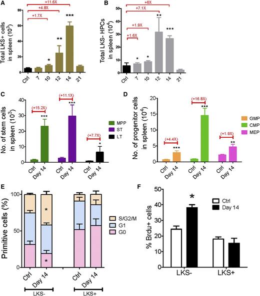Figure 3. Kinetics of hematopoiesis in the leukemic spleen. (A-B) Absolute numbers of LKS+ (A) and LKS− (B) cells in the leukemic spleen. (C-D) Absolute numbers of LT-HSCs, ST-HSCs, MPPs (C), GMPs, CMPs, and MEPs (D) in the leukemic spleen. (E) Ki67 staining of LKS+ and LKS− cells in the leukemic spleen. (F) BrdU staining of LKS+ and LKS− cells in the leukemic spleen. Data are represented as the mean ± standard error of the mean (n = 12; 3 independent experiments). Ctrl, control. *P < .05; **P < .01; ***P < .001.