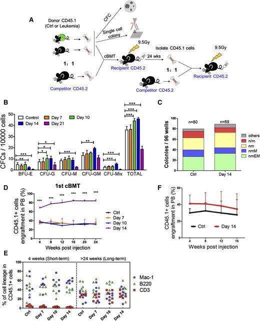 Figure 4. Functional assessments of hematopoietic cells isolated from leukemic mice. (A) Scheme of the colony assays and cBMTs. (B) The histogram shows the colony-forming ability of normal hematopoietic cells from leukemic and control BM. Data are represented as the mean ± SEM (n = 12; 2 independent experiments). (C) The histogram shows the single cell colony-forming ability of normal LT-HSCs from the leukemic and control BM. (D) The percentage of CD45.1+ donor cells in the PB of recipient mice at the indicated time points after primary cBMT. The donor cells were CD45.1+ BM cells. Data are represented as the mean ± SEM (n = 10-12; 2 independent experiments). (E) Short-term and long-term multilineage reconstitution capacities of donor-derived (CD45.1+) PB cells in primary recipients. (F) The percentage of CD45.1+ donor cells in the PB of recipient mice at the indicated time points after primary cBMT. Donor cells were CD45.1+LKS+CD34− LT-HSCs. Data are represented as the mean ± standard deviation (SD) (n = 7). Ctrl, control. *P < .05; **P < .01; ***P < .001.