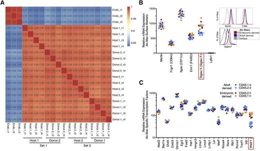 Figure 2. Transcriptional profiles of host- and donor-derived AMs. For microarray analysis, AMs of host and donor origin were fluorescence-activated cell sorted from whole lung digests from lead shielded BM reconstituted mice 8-weeks post-CLL delivery. (A) Pearson correlation plots comparing host- and donor-derived AMs from either CD45.1 (host.1 and donor.1) or CD45.2 (host.2 and donor.2). Data demonstrates experimental sets containing 4 replicates (r) of each sample type. An endothelial cell line (Bend3) was used as a control for correlation comparison (Endo). (B) Messenger RNA (mRNA) microarray expression for surface molecules on host-derived AMs (red, CD45.2 host; orange, CD45.1 host) and donor-derived AMs (blue, CD45.1 donor; light blue, CD45.2 donor) (left). Protein expression by flow cytometry for Siglec F, MertK, and F4/80 on host- and donor-derived AMs (right). Protein data represents 8 independent experiments. (C) The mRNA microarray expression levels of lung specific transcription factors. Statistically significant differences (Student t test; P < .05) between host- and donor-derived AMs are highlighted in red box. Alv Macs, alveolar macrophages.