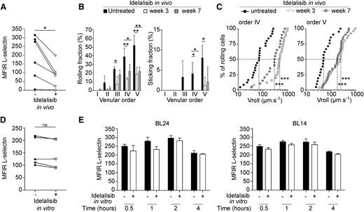 Figure 5. Idelalisib treatment is associated with decreased expression of L-selectin on circulating CLL cells in vivo. (A) Graph represents the MFIR of L-selectin on CLL cells from patients (n = 6) under idelalisib treatment (−, before treatment; +, under treatment). Paired t test; *P < .05. (B) Rolling and sticking fractions of calcein-labeled CLL cells from a patient with bulky disease are shown before treatment, and at 3 or 7 weeks under idelalisib treatment. Mean ± SD, venular order III (n = 3), order IV (n = 4), order V (n = 3-4). Unpaired t test; *P < .05, **P < .01. (C) Data represent the percentages of CLL cells rolling at or below a given velocity (Vroll). The median velocity of cells before treatment, and at week 3 or week 7 was 69.59, 475.1, and 299.8 µm.s−1, respectively, in order IV and 51.27, 247.2, and 185.9 µm.s−1, respectively, in order V (19 to 30 cells per venular order were analyzed). Mann-Whitney test; ***P < .001. (D) Graph represents the MFIR of L-selectin on CLL cells from patients (n = 5) incubated ex vivo with (+) or without (−) idelalisib during 4 hours. Paired t test. (E) MFIR of L-selectin on CLL cells from 2 different patients, incubated ex vivo with (+) or without (−) idelalisib, during the indicated time (hours). Mean ± SEM, n = 3 experimental replicates. Data are representative of 3 independent experiments.