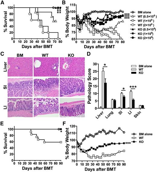 Figure 2. Role of miR-17-92 on donor T cells in the induction of GVHD. BALB/c mice were lethally irradiated and transplanted with 5 × 106/mouse T cell–depleted marrow cells (TCD-BM, Ly5.1+) or plus purified T cells (Ly5.2+) from WT or KO mice on B6 background at the doses indicated. Recipient mice were monitored for survival (A) and body weight change (B) until 80 days after transplant. Five to seven mice were included in each group at each cell dose. Statistical analysis was performed to compare the same dose of WT and KO T cells. In separate experiments, pathology injuries (C) and scores (D) were shown 14 days post-BMT; N = 14 per group. SI, small intestine; LI, large intestine. BALB/b mice were lethally irradiated and transplanted with TCD-BM (Ly5.1+) alone or plus purified T cells at 3 × 106/mouse from WT or KO mice on B6 background. Recipient mice were monitored for survival (E) and body weight change (F) until 90 days after BMT. Data shown were pooled from 2 replicated experiments with 10 to 12 mice per group. *P < .05, **P < .01, ***P < .001.