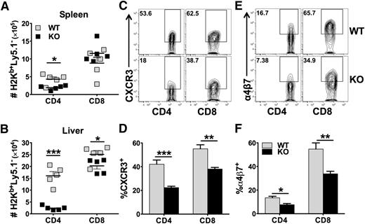 Figure 3. Role of miR-17-92 on donor T-cell migration and expression of chemokine receptor and integrin. BMT was carried out as outlined in Figure 2A, in which 1 × 106/mouse donor T cells were transplanted. Fourteen days post-BMT, recipient spleens and livers were collected and mononuclear cells were isolated and subjected to cell counting and FACS staining. Absolute numbers of donor H2Kb+Ly5.1–CD4+ or CD8+ WT (gray symbols) and KO (black symbols) T cells were shown in spleen (A) or liver (B). % CXCR3+ cells were shown on gated H2Kb+Ly5.1–CD4+ or CD8+ T cells in spleen (C-D). % α4β7+ cells were shown on gated H2Kb+Ly5.1–CD4+ or CD8+ T cells in spleen (E-F). Data shown were pooled from 2 replicated experiments (N = 10/group). *P < .05, **P < .01, ***P < .001.