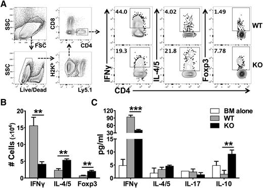 Figure 4. Effects of miR-17-92 on the differentiation of donor T cells after allo-BMT. BMT was carried out as outlined in Figure 3. Two weeks post-BMT, recipient spleens were collected and subjected to cell counting and FACS staining. (A) The expression of IFNγ (Th1 cytokine), IL-4/5 (Th2 cytokine), and Foxp3 (Treg markers) were shown on gated donor H2Kb+Ly5.1–CD4+ cells as shown in the gating strategy; (B) absolute numbers of IFNγ+, IL-4/5+, or Foxp3+ cells among donor H2Kb+Ly5.1–CD4+ cells were shown. Few cells differentiated into IL-17–producing Th17 cells and there was no difference between WT and KO T cells (data not shown). (C) The levels of cytokines in recipient serum were measured using cytokine beads assay and displayed as mean ± SD. Data shown were pooled from 2 replicated experiments (N = 10/group). **P < .01, ***P < .001.