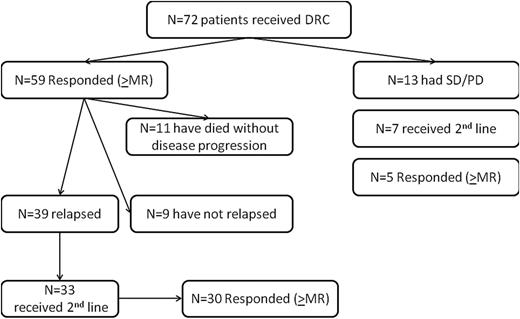 Figure 2. Outcomes of patients who participated in the phase 2 study of the combination of DRC in previously untreated patients with symptomatic WM. PD, progressive disease; SD, stable disease.