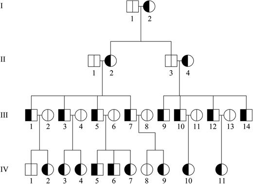 Figure 2. Cosegregation of KCNN4 gene mutations with HX phenotype. Patients in kindred 1 were assigned the diagnosis of HX (filled half circles) by clinical, laboratory, and biochemical methods.4-6 The KCNN4 gene mutation detected by exome sequencing cosegregated with disease phenotype in all affected HX individuals examined. Inheritance of the KCNN4 mutation is heterozygous.