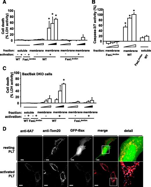 Figure 5. PLT membrane protein induces apoptosis via membrane-bound FasL. (A) MEFs were incubated with various dilutions (4 × 10−4; 4.5 × 10−4; 5 × 10−4) of membrane proteins (membrane fraction) of buffer- or ADP-stimulated PLTs from WT mice or FasL△m/△m mice (lacking membrane-bound FasL only) for 6 hours. Isolated soluble proteins (soluble fraction) of buffer- or ADP-stimulated PLTs from WT mice or FasL△m/△m mice were incubated in a dilution of 5 × 10−4 of the protein sample. Subsequently, LDH activity was measured. Data represent mean ± SEM (n = 9) and are shown as percentage of total cellular LDH levels of untreated cells. *P < .05 vs FasL△m/△m, soluble- and membrane-fraction of resting WT PLTs. (B) Caspase 3/7 activity kinetics were measured in MEFs incubated with various dilutions (4 × 10−4; 4.5 × 10−4; 5 × 10−4) of the isolated membrane protein fraction of ADP-stimulated PLTs from WT or FasL△m/△m mice for 6 hours. Isolated soluble proteins (soluble fraction) were incubated in a dilution to 5 × 10−4 of the protein sample. Data were normalized to the corresponding samples from resting PLTs. Data are shown as percentage of control and represent mean ± SEM (n = 6). *P < .05 vs FasL△m/△m or soluble fractions. (C) LDH activity was measured after 6 hours in the supernatant of mitochondrial apoptosis-incompetent Bax/Bak DKO MEFs incubated with various dilutions (4 × 10−4; 4.5 × 10−4; 5 × 10−4) of membrane protein (membrane fraction) of resting or ADP-stimulated PLTs from WT or FasL△m/△m mice. Soluble proteins (soluble fraction) were incubated in a dilution to 5 × 10−4 of the isolated proteins. Data represent mean ± SEM (n = 6) and are shown as percentage of total cellular LDH levels of untreated cells. *P < .05 vs FasL△m/△m, soluble fraction or membrane fraction of resting WT PLTs. (D) SH-SY5Y cells transfected with GFP-Bax were incubated with resting or ADP-stimulated and PFA-fixed PLTs for 6 hours. Co-localization of GFP-Bax fluorescence (green) with mitochondrial Tom20 staining (red) is shown in yellow in the merged panel. Bax activation was detected with the conformation-specific anti-Bax Ab 6A7. Co-localization of active Bax and mitochondrial Bax is shown in cyan and white, respectively, in the merged panel. Bars, 10 µm.