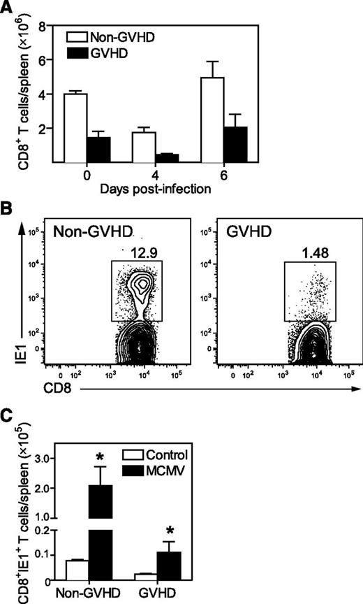 Figure 2. Antiviral CD8+ T-cell immunity is primed weakly during GVHD. BALB/c (non-GVHD) and DBA/2 (GVHD) mice were transplanted with BALB/c BM (5 × 106) and CD3+ T cells (2.5 × 106). Mice were infected with 5 × 103 pfu MCMV 4 weeks after transplantation. (A) Splenic CD8+ T cells were enumerated at the indicated times post-MCMV. Day 0 represent baseline values obtained from uninfected controls. (B) Representative plots showing MCMV-specific CD8+ T cells identified using IE1 tetramers are shown. (C) IE1-specific CD8+ T cells present in the spleen were enumerated on day 7 after MCMV infection, and compared with uninfected controls. (A) n = 3 to 4 mice per group; (B) plot is representative of data from at least 3 independent experiments where n = 5 mice per group; C: n = 4 to 7 mice per group. Data in A and C are representative of at least 2 independent experiments. *P = .01-.05.