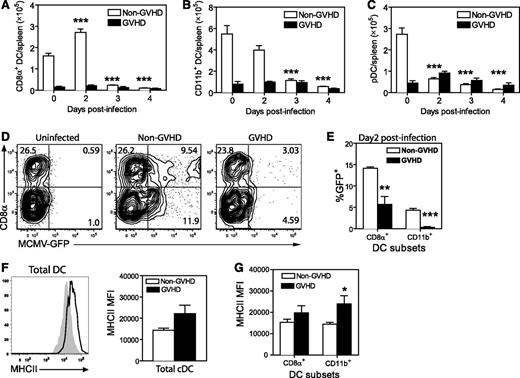 Figure 3. DC numbers are diminished in acute GVHD and DCs are resistant to MCMV infection. BALB/c (non-GVHD) and DBA/2 (GVHD) were transplanted with BALB/c BM (5 × 106) and CD3+ T (2.5 × 106) cells. Four weeks after transplantation, mice were infected with 5 × 103 pfu MCMV. Numbers of (A) CD8α+ DCs, (B) CD11b+ DCs, and (C) pDCs were determined for the spleen at the indicated times after MCMV infection. (D-E) Non-GVHD and GVHD mice were infected with 1 × 104 pfu MCMV-expressing GFP. Spleens were collected on day 2 PI and frequency of GFP+ DCs was determined by flow cytometry. (D) Representative plots are shown for DCs from an uninfected control and 1 mouse from each group of infected mice. (E) The frequencies of CD8α+ DCs and CD11b+ DCs that were GFP+ are shown. (F-G) The expression of MHC-II was determined for splenic cDCs, CD8α+ DCs, and CD11b+ DCs prior to infection. (F) Representative histograms for non-GVHD (filled histogram) vs GVHD mice (bold line), as well as MHC-II mean fluorescence intensity (MFI) for cDCs from non-GVHD and GVHD mice. (G) MHC-II MFI values for splenic CD8α+ DCs and CD11b+ DCs from non-GVHD and GVHD mice are shown. (A-C) 3 to 5 mice per group; (D-E) 3 to 4 mice per group; (F-G) 5 mice per group. Data in D-G are representative of 2 independent experiments. *P = .01-.05, **P = .001-.01, ***P = .0001-.001.
