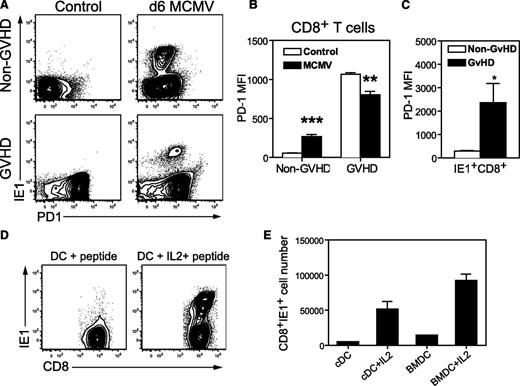 Figure 5. Antiviral CD8+ T cells express high levels of PD1 during GVHD, but can be expanded ex vivo. BALB/c (non-GVHD) and DBA/2 (GVHD) were transplanted with BALB/c BM (5 × 106) and CD3+ T (2.5 × 106) cells. Mice were infected with 5 × 103 pfu MCMV 4 weeks after transplantation, and spleen cells were harvested on day 6 after MCMV infection. (A-C) The expression of PD1 was determined for CD8+ T cells in conjunction with IE1-specific tetramer binding, and compared with uninfected control mice. (A) Representative plots depicting the expression of PD1 and IE1-tetramer binding by splenic CD8+ T cells. (B) The mean fluorescence for PD1 expression by CD8+ T cells and (C) IE1-specific CD8+ T cells. (D-E) CD8+ T cells were purified from the spleens of infected GVHD mice and cultured for 5 days with DCs and IE1 peptide, with and without 10 ng/mL IL-2. (D) Representative plots depicting IE1+ CD8+ T cells. (E) The number of IE1-specific CD8+ T cells recovered after coculture with DCs. (A-C) n = 4 mice per group, representative of at least 3 independent experiments; (D-E) data are from 1 experiment with a pool of 6 mice. *P = .01-.05, **P = .001-.01, ***P = .0001-.001. BMDC, DCs prepared in vitro after culturing BM from uninfected BALB/c with Flt3 ligand for 11 days; cDC, conventional DCs enriched from uninfected BALB/c spleens.