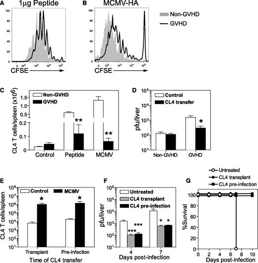 Figure 6. Naive antigen-specific T cells respond to viral antigen in vivo and protect the host from MCMV infection during GVHD. BALB/c (non-GVHD) and DBA/2 (GVHD) were transplanted with BALB/c BM (5 × 106) and CD3+ T (2.5 × 106) cells. (A-D) CD8+ T cells were collected from CL4 TCR-transgenic mice, labeled with CFSE and adoptively transferred to BALB/c (non-GVHD) or DBA/2 (GVHD) mice 4 weeks after transplantation. The proliferation of CL4 CD8+ T cells was measured 3 days after (A) administration of 1 µg CL4 peptide IV, or (B) 4 days after infection with 5 × 103 pfu MCMV-HA, a recombinant MCMV expressing the CL4 epitope. (C) The number of transferred CL4 CD8+ T cells was determined in the spleen for each group. (D) Both groups of mice were infected with 5 × 103 pfu MCMV-HA and viral loads in the liver at day 6 PI determined by plaque assay. (E-G) DBA/2 mice were transplanted with BALB/c BM (5 × 106) and CD3+ T (2.5 × 106) cells. One group received 1 × 106 CL4 CD8+ T cells at the time of transplant (CL4 transplant), 1 group received 1 × 106 CL4 CD8+ T cells 4 weeks later (CL4 preinfection), and 1 group did not receive CL4 CD8+ T cells. All 3 groups of mice were infected with 1 × 104 pfu (E) or 5 × 103 pfu (F) MCMV-HA 4 weeks after transplantation. (E) CL4 CD8+ T cells in the spleen were enumerated at 7 days PI. (F) Viral loads in the liver, as measured by plaque assay, and (G) survival were compared in mice that received CL4 cells or were left untreated. (A-C) n = 3 to 4 mice per group; (D) n = 5 to 6 mice per group; (E-G) 3 to 5 mice per group. Data in D-G are representative of at least 2 independent experiments. *P = .01-.05; **P = .001-.01; ***P = .0001-.001.