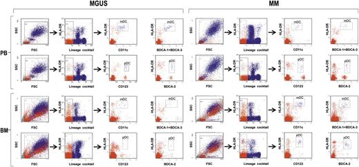 Figure 1. Strategy of flow cytometry analysis of immunostained whole blood and marrow samples (from MGUS and MM patients). Gating was done sequentially on live cells, on lineage-negative cells, and then on CD11c+HLA-DRhi cells or BDCA-1/BDCA-3+HLA-DRhi cells to identify mDCs and on CD123+HLA-DR+ cells or BDCA-2+HLA-DR+ to identify pDCs. Representative plots from 1 patient for each group.