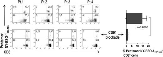Figure 5. BM HLA-A2 tumor epitope–specific CD8+ T cells activated in vitro by BM DCs through crosspresentation. Representative plots and percentages (from 4 MM patients) of pentamer-binding populations upon stimulation with DCs loaded with tumor antigen in the absence (top) and presence of a CD91-blocking mAb (bottom).