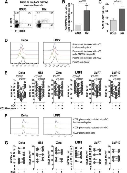 Figure 6. CD28 expression and CD28-mediated interaction of tumor plasma cells with BM DCs (effect on proteasome subunit expression by tumor plasma cells). Representative plots (A) and percentages (B-C) of tumor plasma cells expressing CD28 (from 20 MGUS and 20 MM patients). Mann-Whitney U test. (D) Representative histograms for the expression of selected proteasome subunits by tumor plasma cells after incubation with BM mDCs in different conditions. (E) Effect of CD28 blockade on proteasome subunit expression in tumor plasma cells. Expression levels in positive cells are reported in MESF units. Wilcoxon signed-rank test. (F-G) Representative histograms (F) and levels (MESF units) (G) of expression of proteasome subunits by CD28– tumor plasma cells after incubation with BM mDCs in different conditions. P values are shown only for statistically significant comparisons.