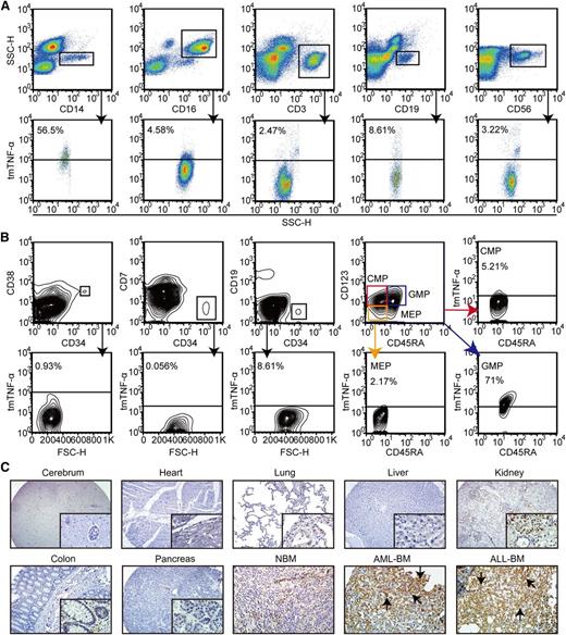 Figure 3. Analysis of tmTNF-α expression in normal human blood cells and tissues. (A) Expression of tmTNF-α by various types of white blood cells in PB from healthy donors (n = 4) was analyzed by FCM. The types of white blood cells were gated using the indicated antibodies. (B) Various lineages of hematopoietic stem/progenitor cells in healthy BM (n = 5) were gated using the indicated antibodies and assessed for tmTNF-α expression. (C) Expression of tmTNF-α was examined by immunohistochemical staining of histology sections from various normal (magnification, ×100 and ×400) and malignant human tissues (magnification, ×400). Immunoreactive tmTNF-α (black arrows) was readily detectable in BM sections with de novo AML or ALL, but was absent or only weakly detected in normal human tissues (2 sections per tissue for each tissue microarray).