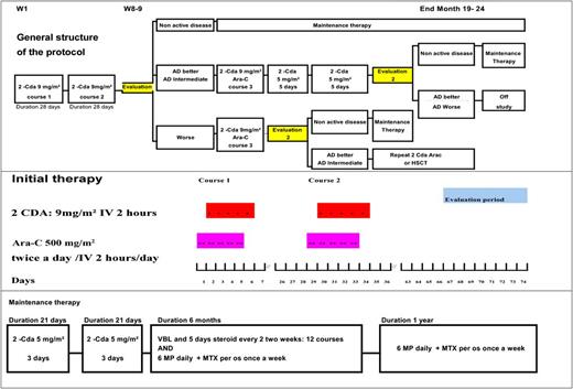 Figure 1. Study flowchart showing decision points after the first 2 therapeutic courses. The cumulative dose of cladribine in this protocol was 120 mg/m2 if the patient had a good response to the initial course.
