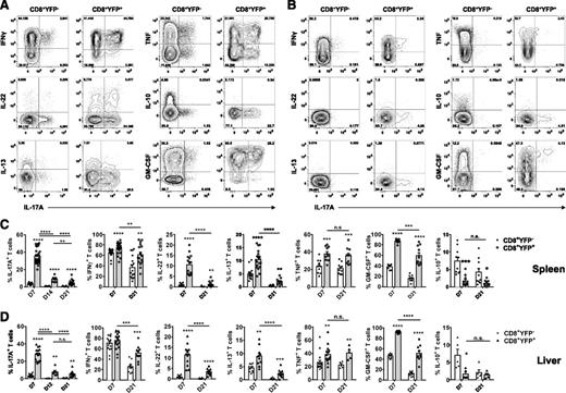 Figure 2. Posttransplant Tc17 cells are highly proinflammatory and plastic in cytokine profile. (A-D) Donor CD8+ T-cell cytokine expression was examined after allogeneic (B6.IL-17CreRosa26eYFP→B6D2F1) transplant. Representative FACS analysis showing splenic IL-17A, IFNγ, IL-22, IL-13, TNF, IL-10, and GM-CSF cytokine expression by CD8+YFPneg or CD8+YFP+ populations after short-term in vitro restimulation (A) d7 or (B) d21 posttransplant. (C-D) Frequencies of cytokine-expressing CD8+ T cells isolated from (C) spleen or (D) liver and assessed 1 to 3 weeks post–allo-SCT as indicated (mean ± SEM, n = ≥5 mice/group; *P < .05, **P < .01, ***P < .001, ****P < .0001).