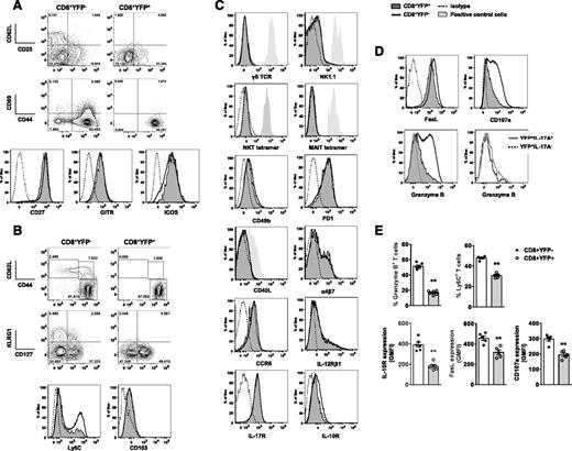 Figure 4. Early posttransplant Tc17 cells express altered T-cell memory markers and reduced CTL effector molecules. Phenotypic analysis of splenic CD8+YFP+ and CD8+YFPneg T cells d7 posttransplant (B6.IL-17CreRosa26eYFP→B6D2F1). (A-D) Representative flow cytometry analysis of markers associated with (A) T-cell activation, (B) T-cell memory, (C) specialized T-cell functions and chemokine/cytokine receptor expression, and (D) CTL effector function. CD8+YFP+ (filled dark gray), CD8+YFPneg (thick black), isotype (thin dashed), positive control cells (filled light gray), CD8+YFP+IL-17+ (thick gray), and CD8+YFP+IL-17neg (black dotted). (E) Quantitative analysis of Granzyme B, Ly6C, IL-10R, FasL, and CD107a expression in CD8+ T cells (mean ± SEM, n = 5-6 mice/group; **P < .01). (C) Positive controls used: γδ TCR+ CD4–CD8– naïve T cells, NK1.1+ naïve NK cells, NKT tetramer+CD4+ naïve NKT-cells, MR1 tetramer+CD4–CD8– naïve T cells, and CD40L+CD4+ naïve T-cells.