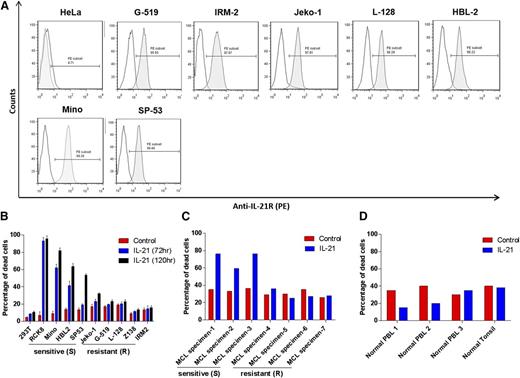 Figure 1. Flow cytometric analysis of IL-21R expression in MCL cell lines. (A) The indicated MCL cell lines were stained for IL-21R and analyzed by flow cytometry. Gray histograms represent IL-21R–stained population and white histograms represent background fluorescence observed with matched isotype control. HeLa cells were used as a negative control. Data are representative of 3 independent experiments. (B) MCL cell lines (Mino, HBL-2, SP-53, IRM-2, Z-138, L-128, G-519, and Jeko-1), DLBCL cell line (RCK8; positive control), and 293T cell line (negative control), (C) neoplastic B cells isolated from de novo primary MCL tumors, and (D) normal B cells isolated from peripheral blood or lymph node (tonsil) were treated with IL-21 (100 ng/mL) for 72 hours. The cell death was measured by YO-PRO and PI staining followed by flow cytometry analysis. IL-21–responsive and non-responsive cell lines, and primary tumors are indicated as sensitive (S) and resistant (R), respectively. In panels A-B, data are representative of 3 independent experiments and error bars correspond to standard deviation (SD) between triplicate samples from a single experiment.