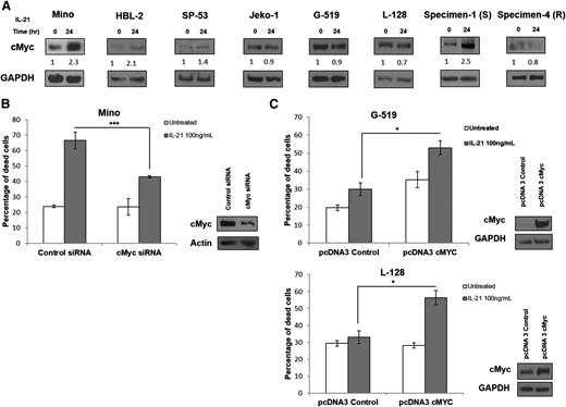 Figure 3. Upregulation of cMyc correlates with IL-21–induced direct cell death in MCL cells. (A) Immunoblotting for cMyc in IL-21–sensitive (Mino, HBL-2, SP-53, and specimen 1) and resistant (Jeko-1, G-519, L-128, and specimen 4) MCL cell lines and primary tumors treated with 100 ng/mL IL-21 for 24 hours. cMyc protein levels quantified by densitometric analysis are displayed below each panel. (B) Mino cells transfected with cMyc siRNA, and (C) L-128 and G-519 cells transfected with pcDNA3-cMyc plasmid were treated at 24 hours posttransfections with IL-21 (100 ng/mL). Percentage of cell death was quantified using flow cytometry at 48 hours posttreatment. Immunoblotting for cMyc at 24 hours posttransfection were performed to confirm knockdown or overexpression of cMyc. Results in panels A-C are representative of 3 independent experiments. GAPDH and actin served as loading controls. *P < .05; ***P < .005.