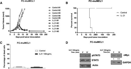Figure 6. In vivo IL-21 inhibits tumor growth and prolongs survival of MCL-bearing mice. (A-B) C57BL/6 mice (n = 5 per group) were SC injected with FC-muMCL1 cells and treated with IL-21 or PBS as described in “Materials and methods.” (A) Depicts tumor volume of lymphoma-bearing mice and (B) illustrates Kaplan–Meier survival curves. (C) FC-muMCL1 cells were treated with 100 ng/mL IL-21 for 72 hours, and cell death was measured by YO-PRO and PI staining followed by flow cytometry. (D) FC-muMCL1 cells were stimulated with 100 ng/mL IL-21 in vitro for 15 minutes or 24 hours followed by immunoblotting for phosphorylated STAT3 and cMyc, respectively. For panels A-D, data are representative of 2 independent experiments. Error bars represent standard error of the mean.