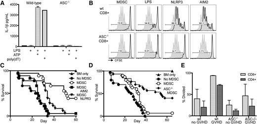 Figure 3. In vitro inflammasome induction in MDSCs leads to loss of suppressor function. Inflammasome induction in freshly cultured wild-type and ASC−/− MDSC-IL13 was carried out by adding 0.2 µg/mL LPS for 3 hours, followed by addition of 2 mM ATP or 0.8 µg/mL poly(dT) transfection. (A) Culture supernatants were harvested after an additional 1 hour and assayed for IL-1β production by ELISA. Data are representative of 3 independent experiments. (B) Inflammasome-induced MDSC-IL13 were washed extensively and plated in a CFSE suppression assay at a 1:1 ratio; data are representative of gated CFSE-labeled CD8+ responder T cells (n = 6 samples/group from 2 independent experiments). NLRP3 indicates LPS + ATP treatment, and AIM2 indicates LPS + poly(dT) treatment; gray histogram represents the no-MDSC proliferation control. Gated CD4+ responder T cells shown in supplemental Figure 5. (C) Kaplan-Meier survival curve of the C57Bl/6 → BALB/c GVHD model using inflammasome-induced MDSC-IL13, treated as above. MDSC v no MDSC P < .0001, MDSC vs MDSC AIM2 P < .0001, MDSC v MDSC NLRP3 P = .0029. Data represent n = 18 animals per group, combined from 2 independent experiments. (D) Kaplan-Meier survival curve of GVHD using MDSC-IL13 generated from either wild-type or ASC−/− mice as indicated. Data represent n = 30 animals per group in 3 independent experiments. MDSC vs no MDSC P = .0399, MDSC vs ASC−/− MDSC P = .0006. (E) Histograms represent % divided CFSE-labeled responding T-cells when plated against recovered wild-type or ASC−/− MDSC-IL13 from day 5 posttransplant at a ratio of 1:1 and collected on day 3. Significant P values (< .05) were found when comparing any single group to wild-type MDSC-IL13 recovered from GVHD mice. Data are representative of 2 independent experiments. wt, wild-type.