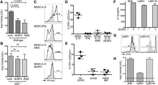 Figure 4. Inflammasome induction in MDSC associated with loss of Arg1 expression. MDSC-IL13 were induced for NLRP3 or AIM2 inflammasomes as indicated, washed extensively, and replated in complete media overnight. (A) Enzymatic activity of cell-associated arginase for wild-type or (B) ASC−/− MDSCs, normalized to total cell number. Data are pooled from 2 independent experiments. MDSCs generated from YARG mice, followed by in vitro induction of inflammasomes (as previously discussed) and replating in complete media. (C) YFP fluorescence for CD11b-gated MDSCs after 2 additional days in culture indicated as representative histograms (shaded histogram represents unstimulated BM from YARG donor) and (D) summary data of % YFP+. (E) YFP detection for MDSC-IL13 recovered from day 5–transplanted animals with BM only (no GVHD) or BM plus whole T cells (GVHD). YARG BM (YFP-Arg1 bone marrow) indicates baseline YFP fluorescence. (F) IL-1β production before and after NLRP3 (ATP + LPS) inflammasome activation for bulk MDSC-IL13 or sorted granulocytic Ly6G+C+ (Ly6G+) and monocytic Ly6C+ subsets. (G) CFSE proliferation of anti-CD3ε driven CD8+ B6 T cell responses in the presence of sorted granulocytic (Ly6G+) or monocytic (Ly6C+) subsets of MDSC-IL13 at a 1:1 ratio. (H) Cell-associated arginase bioactivity for bulk MDSC-IL13 and sorted granulocytic (Ly6G+) or monocytic (Ly6C+) subsets. The dashed line indicates background activity for Arg1-deficient splenocytes. Data regarding MDSC subsets are representative of 3 independent experiments.