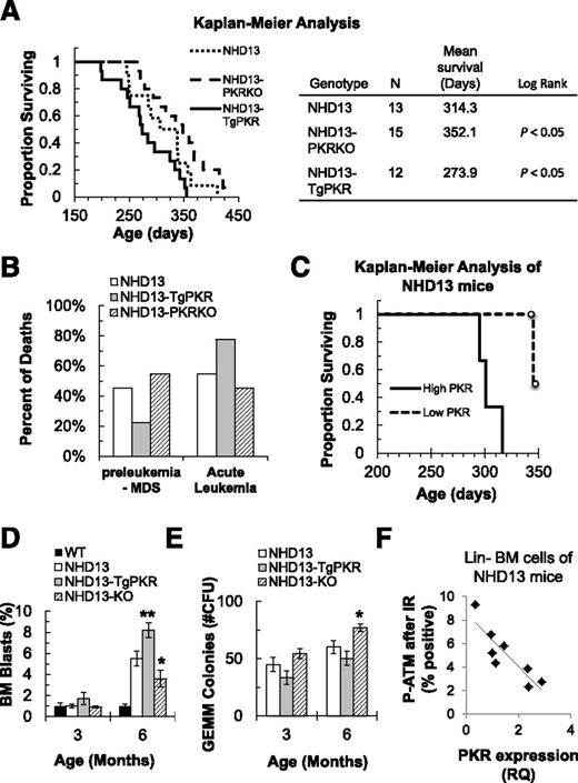 Figure 6. PKR expression cooperates with the NHD13 transgene to shorten survival and promote MDS evolution to acute leukemia in the NHD13 mouse. (A) NHD13 mice were crossed with mice expressing a PKR transgene specifically in hematopoietic cells (TgPKR) or PKRKO mice, to produce NHD13-TgPKR and NHD13-PKRKO mice. NHD13 (n = 12), NHD13-TgPKR (n = 12), and NHD13-PKRKO (n = 12) mice were aged until physical deterioration led to death or required euthanasia (defined as body condition score ≤2). (A) Kaplan–Meier analysis demonstrates that PKR expression cooperates with NHD13 to significantly shorten the survival of mice. (B) NHD13-TgPKR mice more frequently die of acute leukemia than NHD13 mice. Acute leukemia or MDS was determined by hematoxylin and eosin staining and flow cytometry of BM cells collected at time of death. (C) Kaplan–Meier analysis demonstrates superior survival in NHD13 mice with low-level PKR expression vs NHD13 mice with high-level PKR expression (RQ >2) relative to age-matched WT controls. PKR expression in PB mononuclear cells collected as NHD13 mice aged was measured by quantitative real-time polymerase chain reaction. Circles represent mice that were censored at 350 days. (D-E) At 3 and 6 months of age, BM was collected from WT, NHD13, NHD13-TgPKR, and NHD13-PKRKO mice for comparison by flow cytometry analysis. (D) BM blasts were measured using CD45+ expression and side scatter. NHD13-TgPKR mice had significantly increased BM blasts compared with NHD13 mice at 6 months, whereas in PKRKO mice, this was significantly reduced. (E) BM from NHD13-PKRKO mice had significantly increased CFU-GEMM activity compared with NHD13 or NHD13-TgPKR. (F) Lin− BM cells were isolated from 8 NHD13 mice and PKR level determined by flow cytometry. Some 30 minutes after IR, p-ATM was measured by flow cytometry and plotted vs PKR expression to reveal that relative PKR expression was inversely proportional to p-ATM. Each point represents an individual mouse. *P < .05; **P < .01.