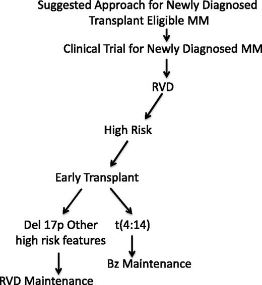 Figure 1. Suggested treatment approach for high-risk myeloma. Bz, bortezomib; MM, multiple myeloma.