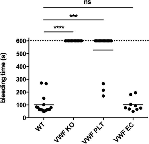 Figure 2. Plasma VWF is the major determinant to control bleeding in a tail clip bleeding assay. Five mm of the tail of WT (n = 15), VWF KO (n = 14), VWF PLT chimeric (n = 16), and VWF EC chimeric (n = 9) mice was removed. Subsequent tail bleeding in pre-warmed saline was monitored and the time needed to stop the bleeding was recorded. If bleeding did not end within the first 10 minutes, the experiment was ended with a recorded bleeding time of 600 seconds. ns, not statistically significant. ***P < .001; ****P < .0001.