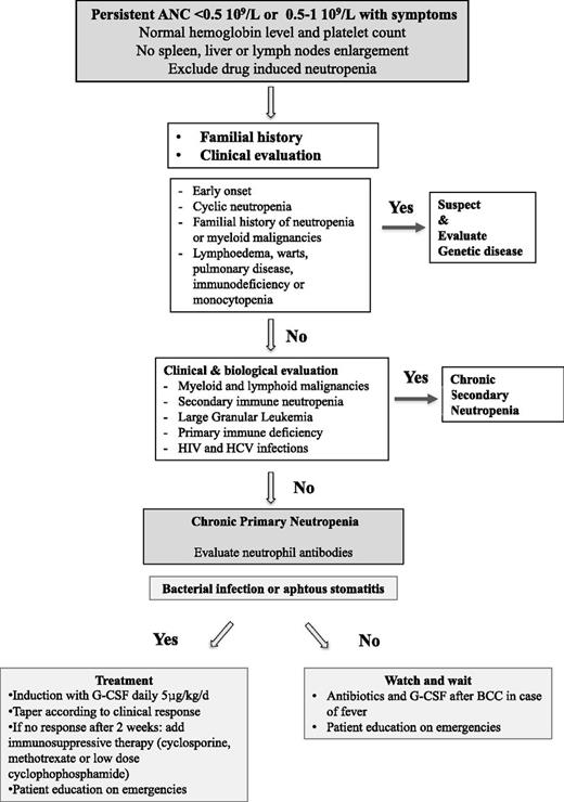 Figure 3. Proposed approach for the diagnosis and treatment of CPN in adults. BCC, blood cell count.
