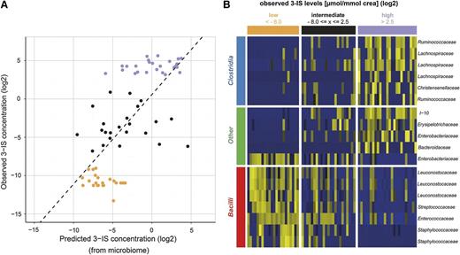 Figure 2. Microbiome composition is associated with urinary 3-IS levels. (A) LASSO regression was used to predict 3-IS levels from microbiome compositions in cross-validation. Shown is a scatter plot of predicted vs observed urinary 3-IS/mmol crea concentrations. Both axes are plotted on a logarithmic scale. The Pearson correlation coefficient r is 0.703 (P < .001). (B) Heat map representation of the relative abundance of the 18 predictive OTUs in n = 70 stool specimens. The abundance increases from blue to yellow.