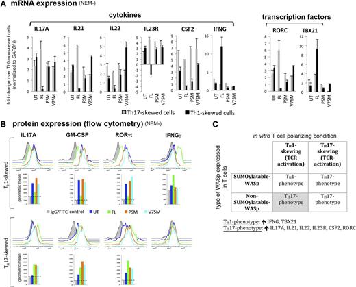 Figure 7. SUMOylation-deficient WASp favors paradoxical development of TH17-like phenotype in TH1-skewed cells. (A) mRNA expression profiles of TH1 and TH17 genes in WASnull TH cells reconstituted with SUMOylation-deficient mutants, normal wt-WASp (FL), or untransfected (UT) control quantified by RT-PCR. The displayed values (mean ± SEM) are fold change (up or down) in TH1 or TH17 cells compared with values obtained in TH0 cells after normalizing to GAPDH. The data are representative of 2 biologic replicates each with 3 samples assayed. (B) Flow cytometry displaying protein expression of some representative TH1/TH17 genes in the same cells and mutants described in A. Geometric mean (GM) is displayed underneath individual histograms. Horizontal dotted lines demarcate background fluorescence obtained with control immunoglobulin-fluorescein isothiocyanate/phycoerythrin staining. (C) A 2 × 2 table summarizing the key findings of this figure. ↑, increased expression compared to Th0 non-skewed cells; NEM−, NEM nontreated.