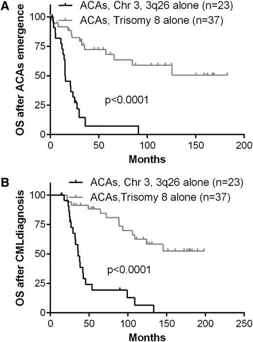 Figure 4. Survival comparison between patients with CML with 3q26.2 abnormalities as the sole ACA and patients with CML with trisomy 8 as the sole ACA.