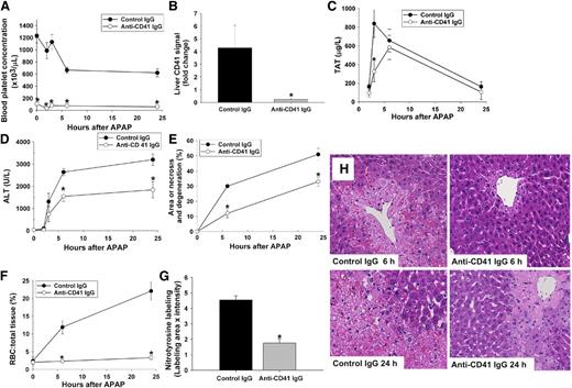 Figure 4. Effect of platelet depletion on APAP-induced hepatotoxicity. Mice were treated with 300 mg/kg APAP or vehicle IP at time 0 hour. Anti-CD41 antibody or isotype control antibody (2 mg/kg) was given IP 12 and 2 hours before administration of APAP. (A) Blood platelet concentration. (B) Quantification of CD41 signal in the liver at 3 hours after APAP injection. Signal intensity of CD41 from different groups was normalized to saline-pretreated group at time 0 hour. (C) Concentration of TAT complexes in plasma over time. (D) ALT activity in plasma. (E) Area of liver necrosis and degeneration. (F) RBC to total liver tissue (%). (G) Nitrotyrosine label at 6 hours at after APAP injection quantified as described in “Materials and methods.” (H) Representative liver sections from each group at 6 and 24 hours after APAP injection (×20 objective). *Significantly different from control IgG group at the same time. For mice given control IgG, the number of mice per group was 5 (0 hour), 3 (2 hours), 7 (3 hours), 13 (6 hours), and 13 (24 hours). For mice given anti-CD41 IgG, the number of mice per group was 5 (0 hour), 4 (2 hours), 7 (3 hours), 15 (6 hours), and 15 (24 hours).