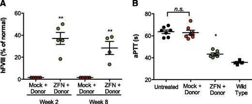 Figure 2. Targeting albumin supports production of therapeutic levels of FVIII and functional correction of hemophilia A phenotype. (A) FVIII activity as determined by chromogenic assay in hemophilia A/CD4-deficient mice 2 and 8 weeks after treatment with 1 × 1011 vg of AAV8-mock (red circles), 5 × 1010 vg of each individual AAV8-ZFN (green circles), and 1 × 1011 vg of donor 2 (see “Methods” section for details). **P = .008, Fisher's exact test. (B) Measurement of clot formation by aPTT prior to and 11 weeks after AAV administration. The aPTT of wild-type (▪) and untreated (●) mice are shown for comparison. **P < .01, 2-tailed Mann-Whitney test.