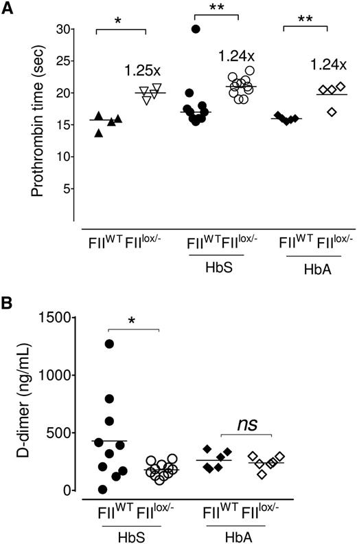 Figure 2. Sickle chimeras with 10% circulating FII exhibit a modest increase in PT and diminished evidence of coagulation activation. (A) PT values in FIIWT mice (with 100% circulating FII) and FIIlox/− mice (with ∼10% FII levels), and cohorts of FIIWT and FIIlox/− mice transplanted with either bone marrow from donor Berkeley mice expressing HbA (HbA/FIIWT and HbA/FIIlox/−) or donor Berkeley sickle mice expressing HbS (HbS/FIIWT and HbS/FIIlox/−). (B) D-dimer levels in HbS/FIIWT, HbS/FIIlox/−, HbA/FIIWT, and HbA/FIIlox/− mice. The bar indicates the median. Each symbol represents an individual animal. Mice used as transplant recipients were of similar ages (8-10 weeks) with equal numbers of males and females distributed among the experimental groups. Fully chimeric sickle or normal mice were followed for a year after transplantation. Cohorts were analyzed by Mann-Whitney U test and statistical significance between FIIWT and FIIlox/− chimeras is indicated by asterisks: **P < .01, *P < .05.