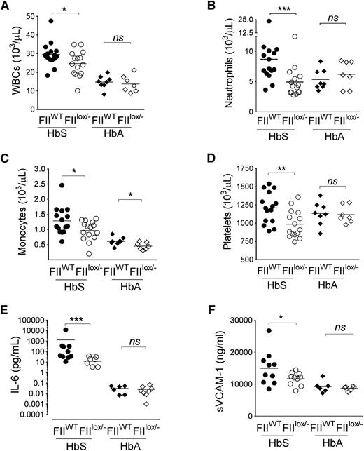 Figure 3. Sickle chimeras with genetically imposed reductions in circulating FII exhibit significant decreases in inflammation. Total (A) WBC, (B) neutrophil, (C) monocyte, and (D) platelet counts in HbS/FIIWT, HbS/FIIlox/−, HbA/FIIWT, and HbA/FIIlox/− mice are shown. (E) Plasma IL-6 and (F) plasma sVCAM-1 levels in HbS/FIIWT, HbS/FIIlox/−, HbA/FIIWT, and HbA/FIIlox/− cohorts. Each symbol represents an individual animal. Mice used as transplant recipients were of similar ages (8-10 weeks) with equal numbers of males and females distributed among the experimental groups. Fully chimeric sickle or normal mice were followed for a year posttransplantation. sVCAM-1 levels in female mice trended to be lower compared with males within each group. In male mice, sVCAM-1 levels HbS/FIIWT vs HbS/FIIlox/− mice were 17 965 ± 3406 ng/mL vs 12 870 ± 338 ng/mL, respectively. In female mice, sVCAM-1 levels in HbS/FIIWT vs HbS/FIIlox/− mice were 13 009 ± 1361 ng/mL vs 10 914 ± 937 ng/mL, respectively. The differences between the 2 sexes in the different groups were not statistically significant. Cohorts were analyzed by Mann-Whitney U test and statistical significance between FIIWT and FIIlox/− chimeras is indicated by asterisks: **P < .01, *P < .05, ***P < .001.