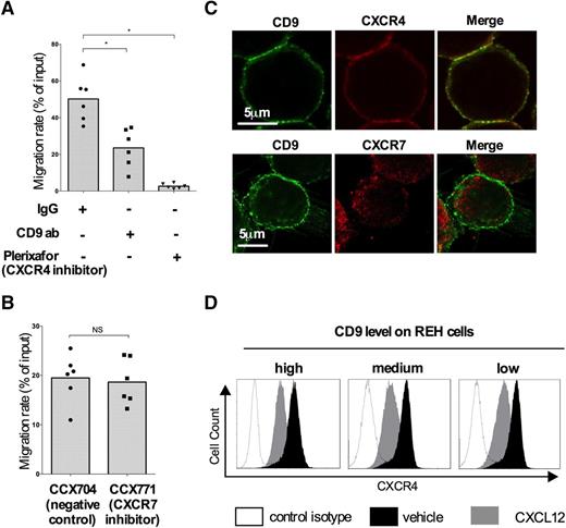 Figure 2. CD9 does not affect CXCR4 localization and internalization. Migration assay. Chemotactic migration toward CXCL12 (100 ng/mL) of REH cells after preincubation with 1 μg/mL anti-CD9 antibody and 20 µM plerixafor (A) or CCX771 (100 nM) (B) was measured in a Boyden chamber. The migration rates are represented using a scatter dot plot with the histograms indicating the means of 6 independent experiments. *P < .05 in Wilcoxon test. (C) Immunofluorescence. Cells were subjected to cytospin centrifugation and fixed in 4% paraformaldehyde. The CXCR4, CXCR7, and CD9 proteins were labeled with mouse anti-CD9 (1:50), rabbit anti-CXCR4 (1:50), and rabbit anti-CXCR7 (1:500) antibodies. Confocal imaging of serial Z stacks was performed with a Leica SP5 confocal microscope equipped with a 63×/1.4 oil-immersion objective and ×6 zoom. The yellow spots on the merged images indicate the colocalization of CXCR4 and CD9. The images are representative of 3 independent experiments. (D) REH cells were stimulated with CXCL12 (200 ng/mL) for 20 minutes at 37°C. CXCR4 expression on the membrane was assessed by flow cytometry. The histograms show CXCR4 expression in the absence of stimulation (black peaks) and after stimulation (gray peaks), as assessed by flow cytometry. The black lines indicate the fluorescence of REH cells labeled with an isotypic control antibody.