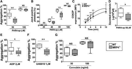 Figure 4. Role of MRP4 in platelet activity in vitro. Washed-platelet aggregation was monitored by light transmission through a platelet suspension at a concentration of 3.5 × 108 platelets per milliliter. (A) PAR4-ap (50 and 100 μM) induced platelet aggregation; results are expressed as the percentage of maximal aggregation (n ≥ 9) (**P < .01). (B) αIIbβ3 activation was evaluated in WT or MRP4−/− washed platelets activated for 10 minutes with increasing concentrations of PAR4-ap in the presence of phycoerythrin-labeled JonA antibody. The experiment was performed without stirring to prevent platelet aggregation. The level of activated integrin is indicated by the percentage of JonA-positive platelets measured by flow cytometry (n ≥ 4) (*P < .05; **P < .01). (C) α-Granule secretion was measured by P-selectin (CD62P) plasma membrane expression in response to PAR4-ap (100 μM) and was analyzed using flow cytometry after platelet incubation with fluorescein isothiocyanate–labeled rat anti-mouse CD62P. P-selectin expression is expressed as the mean fluorescence intensity (MFI) (n ≥ 5) (*P < .05; **P < .01). (D) Dense granule secretion was measured by serotonin release in platelet supernatants after PAR4-ap (60 μM) induced activation (n ≥ 6) (*P < .05). (E-G) Agonist-induced platelet aggregation: platelets were incubated at 37°C under stirring and then activated with ADP in the presence of fibrinogen (5 μg/mL) (n = 13) (*P < .05) (E); with U46619 (n = 6) (**P < .01) (F); and with 50 and 100 ng/mL convulxin (n ≥ 6) (G). Each box represents the interquartile range with median maximal aggregation (horizontal line in the box); the whiskers represent the fifth to 95th percentiles. NS, not significant.