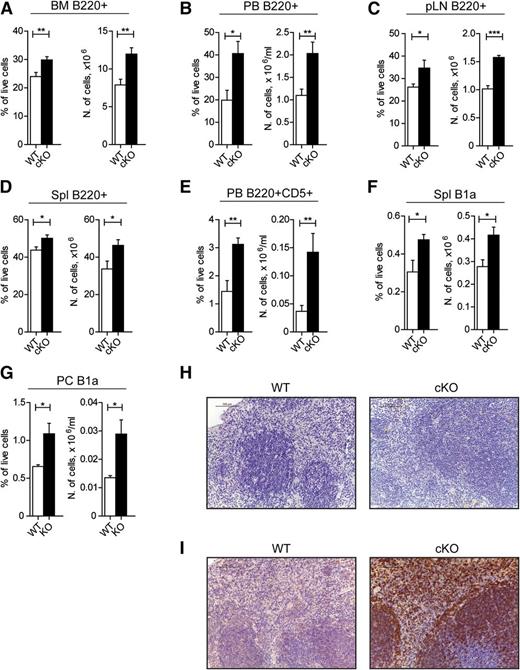 Figure 4. Lack of GILZ develops lymphocytosis in a B-cell autonomous fashion. (A-D) Frequency (left) and number (right) of B220+ cells in BM (A), PB (B), pLN (C), and Spl (D) isolated from 8- to 12-week-old WT and gilz CD19-KO mice (n = 7/8). (E) Frequency (left) and number (right) of B220+CD5+ cells in PB isolated from 8- to 12-week-old WT and gilz cKO mice (n = 7/8). (F-G) Frequency (on left) and number (on right) of B1a cells in spleen (F) or PC (G) isolated from 8- to 12-week-old WT and gilz cKO mice (n = 6/8). (H) Spleen histologic phenotype of 8- to 12-week-old WT and gilz KO mice assessed by H&E staining. Scale bars represent 100 µm; original magnification ×20. (I) Immunohistochemical analyses show that the number of CD45R/B220+ lymphocytes in spleen is increased in gilz KO compared with WT mice. Scale bars represent 100 µm; original magnification ×20. Graphs represent mean ± SEM. Data are from 2 independent experiments. *P < .05, **P < .005, ***P < .0005.